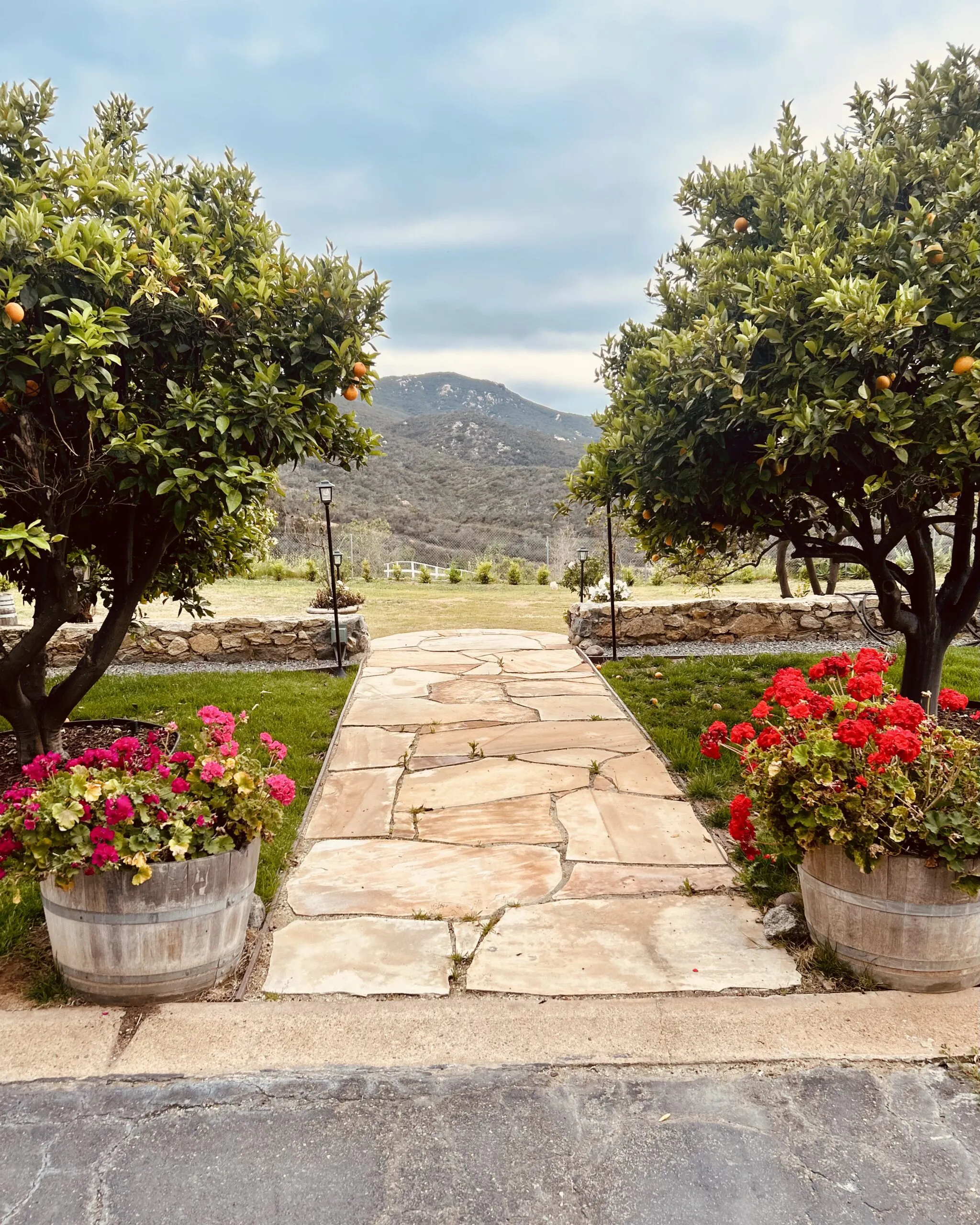 Flagstone garden path between orange trees at Villa San Giovese leading toward the Jamul mountains