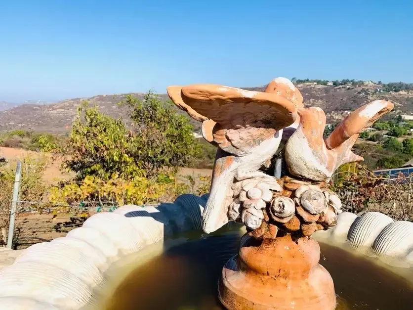 Terracotta dove fountain with the Jamul hills in the distance