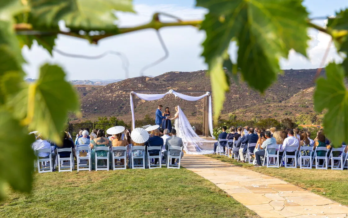 Ceremony seen through grape leaves, with the aisle path leading to the draped altar