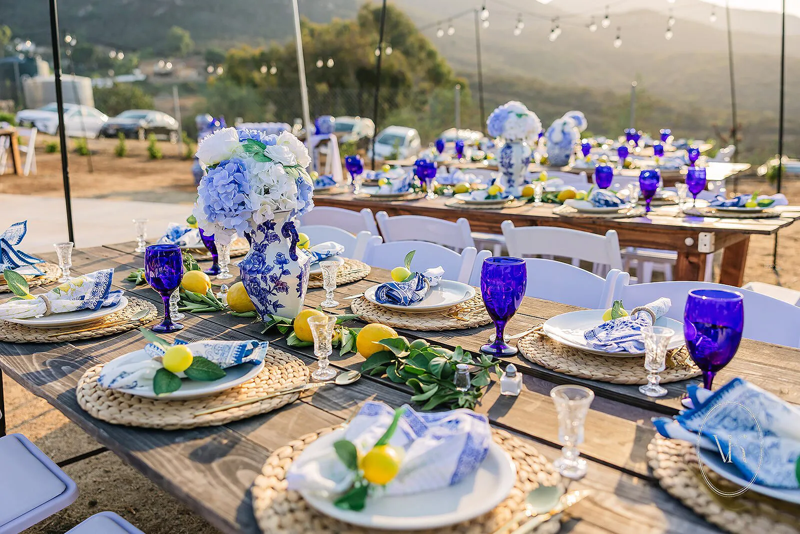 Wedding reception tables set with blue and white china, lemons, and hydrangeas overlooking the vineyard at dusk