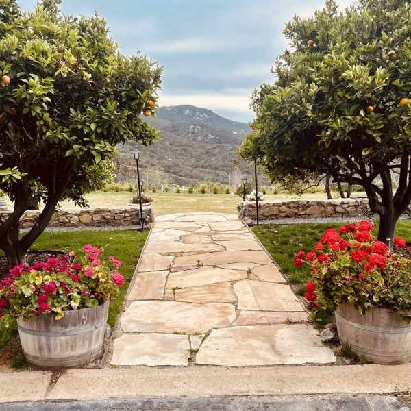 49571724-CAA9-4542-A47E-5205A062FEBD_1_201_a